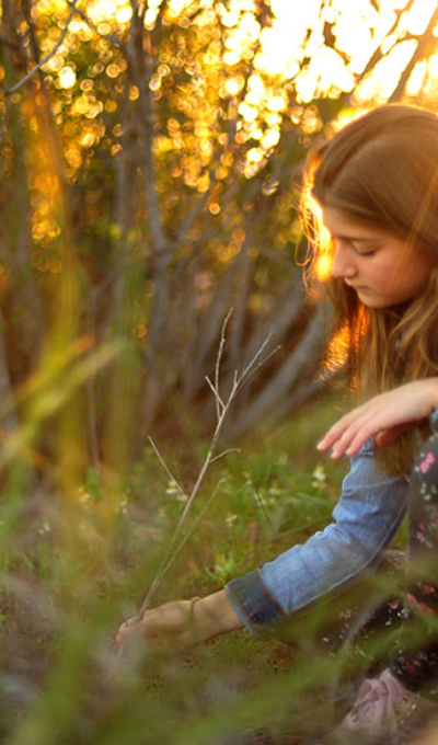 Who Among You is Wise?