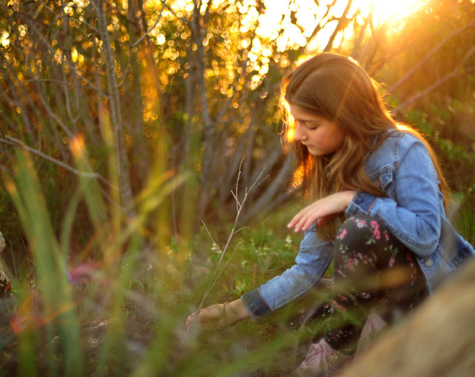 Who Among You is Wise?