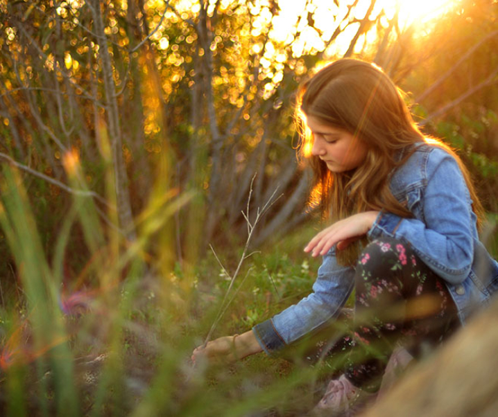 Who Among You is Wise?