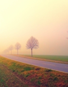 The Old and New Testament: Similarities