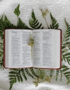 3 Ways We Can Better Trust God