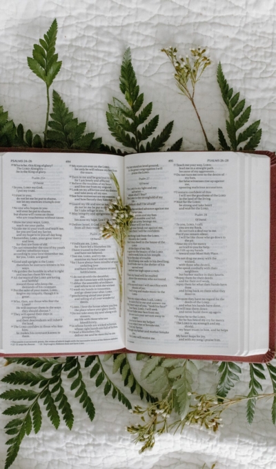 The Old and New Testament: Differences