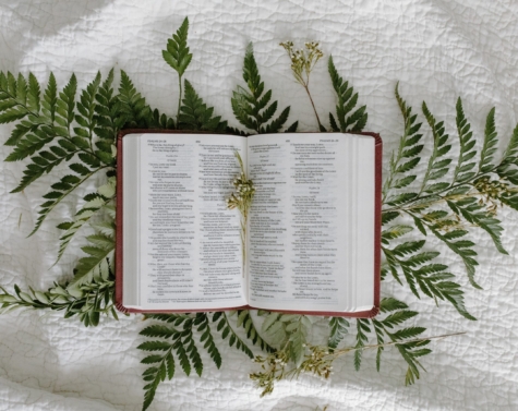 The Old and New Testament: Differences