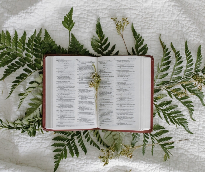 The Old and New Testament: Differences