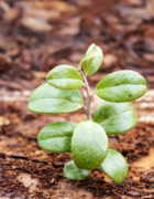 5 Popular Passages Taken Out of Context